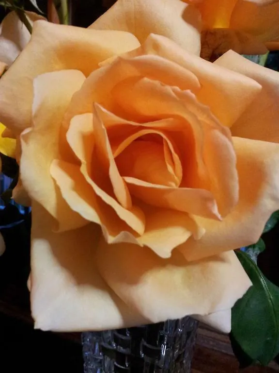 Bed & Breakfast B&B On Sunrise Maryborough